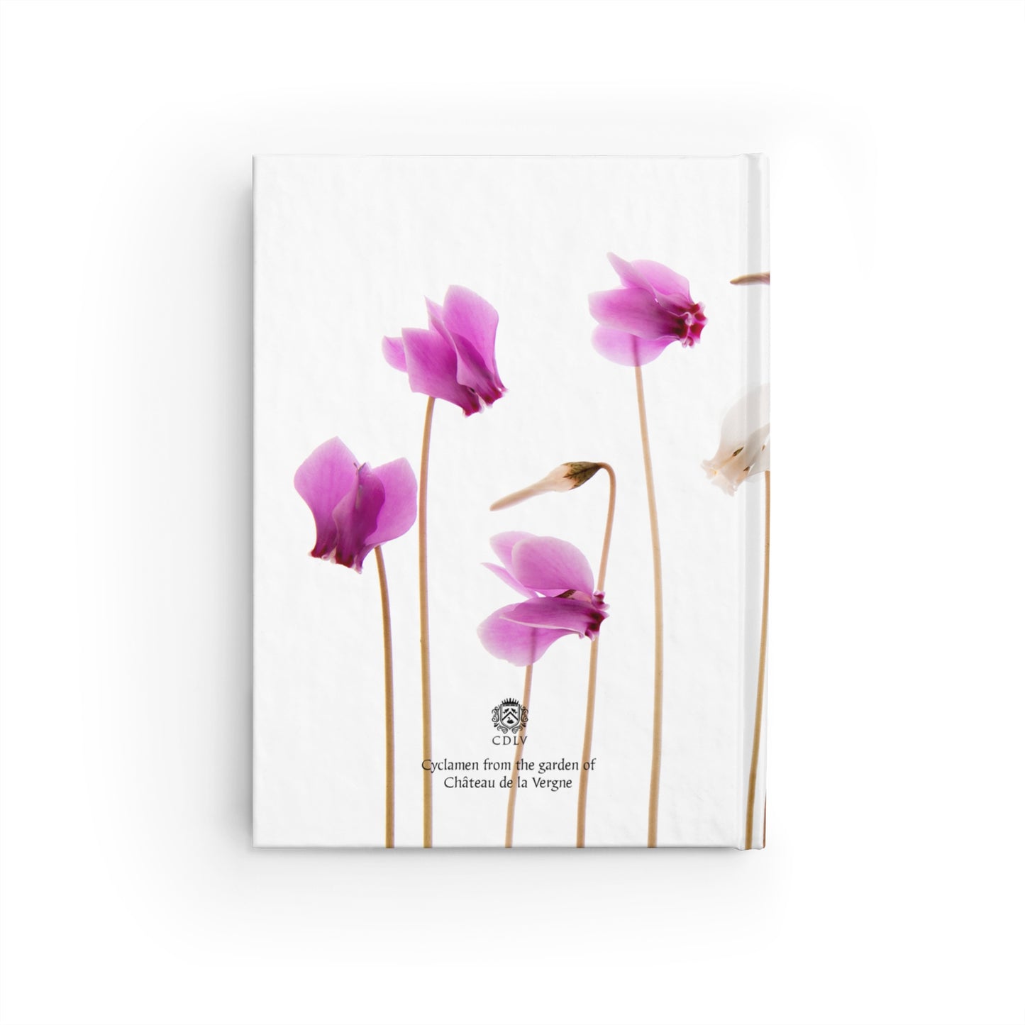 Notebook - Cyclamen - Château de La Vergne Garden Collection