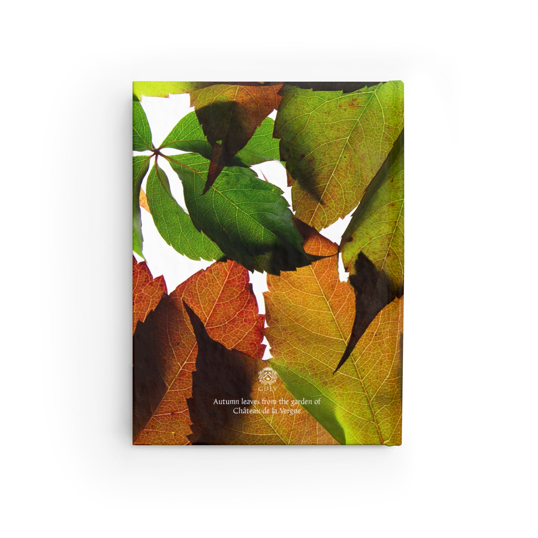 Notebook - Autumn Leaves  - Château de La Vergne Garden Collection