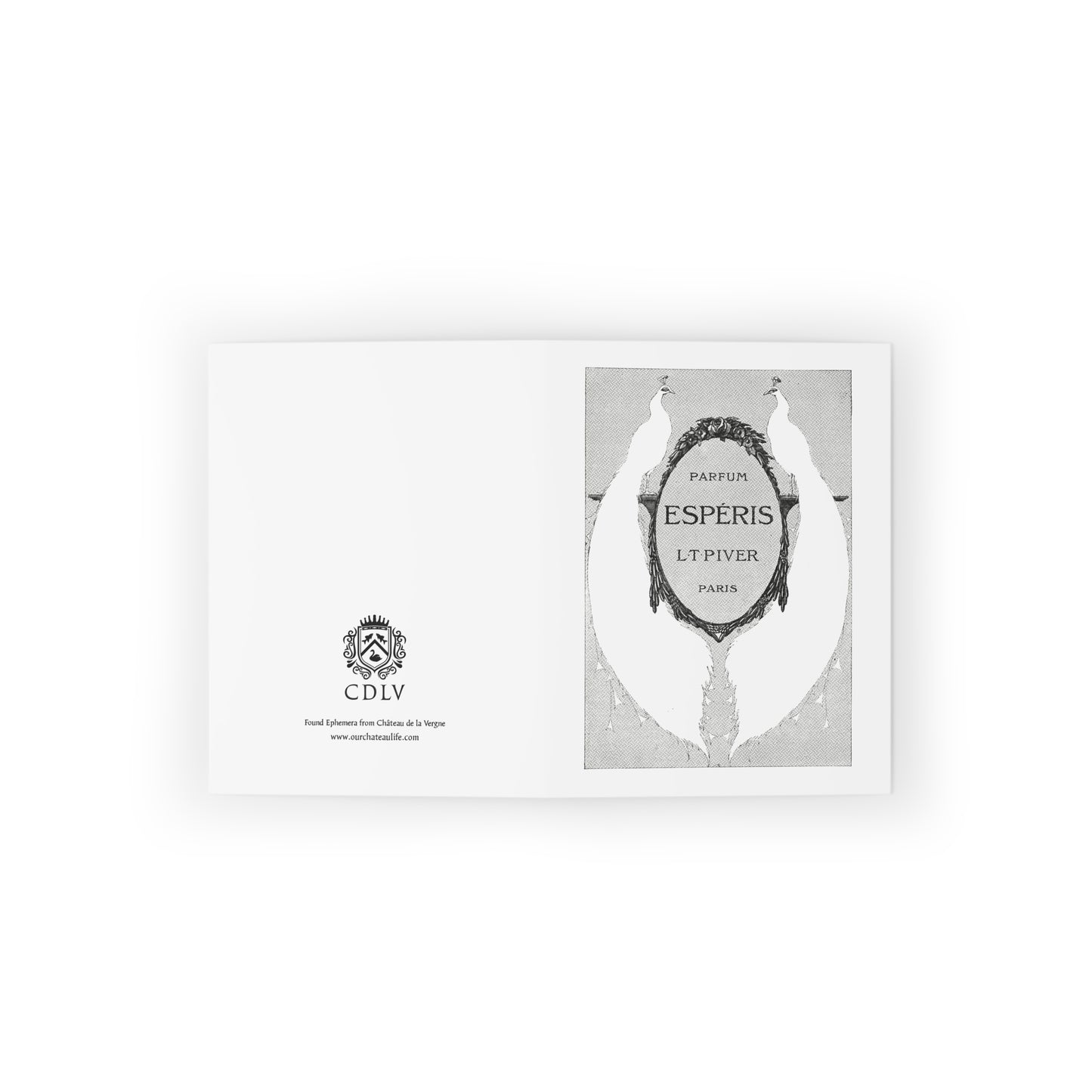 Found Ephemera - Greeting cards (8, 16, and 24 pcs)