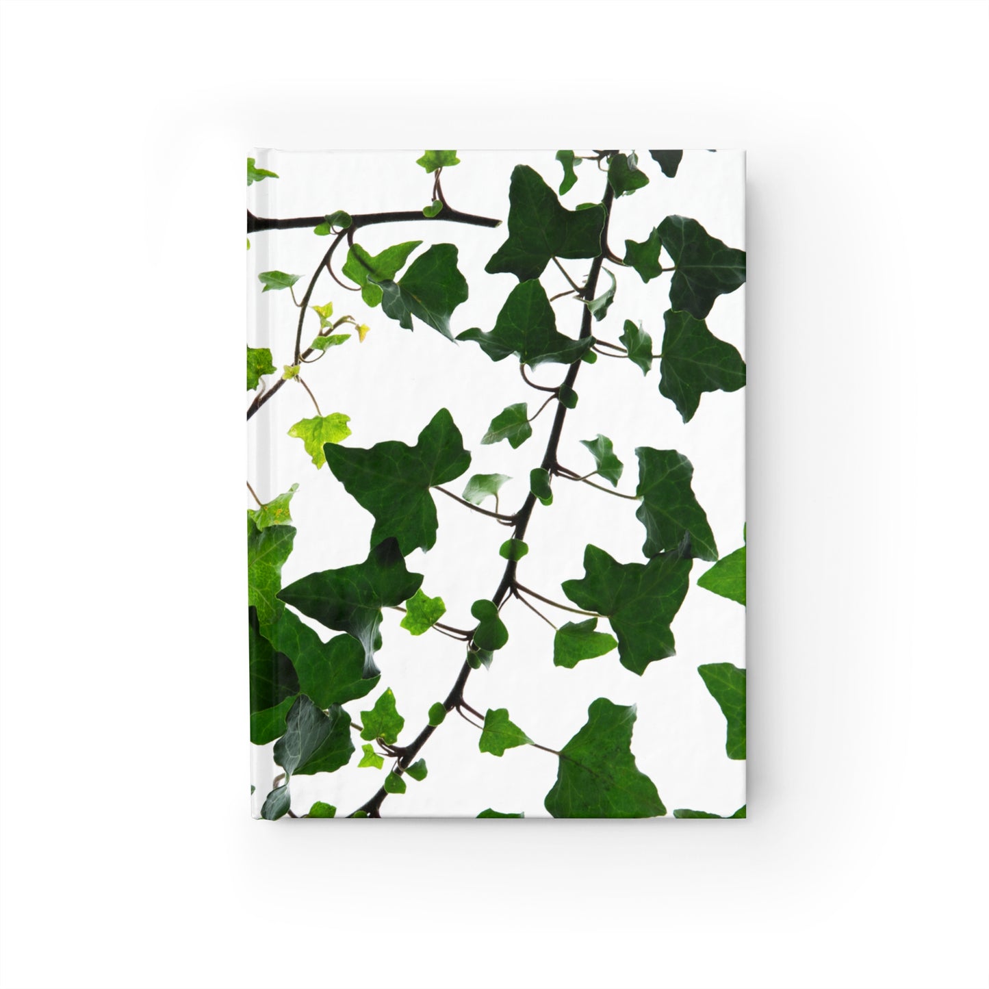 Notebook - Ivy - Château de La Vergne Garden Collection