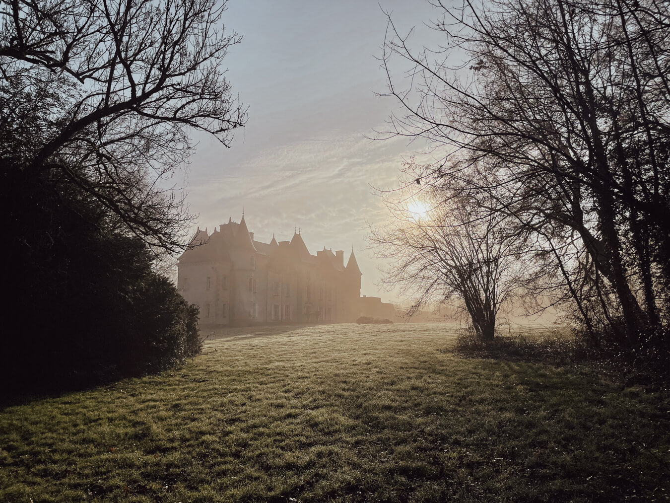Plant a Tree at Château de La Vergne